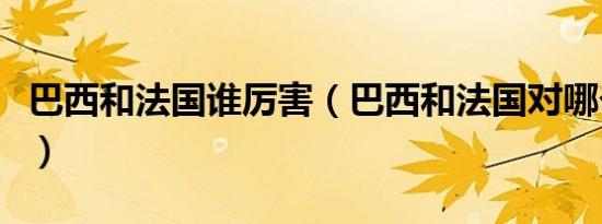 巴西和法国谁厉害（巴西和法国对哪个对更强）