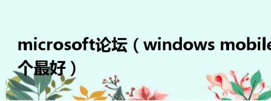 microsoft论坛（windows mobile 论坛哪个最好）