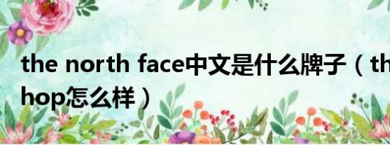 the north face中文是什么牌子（the face shop怎么样）