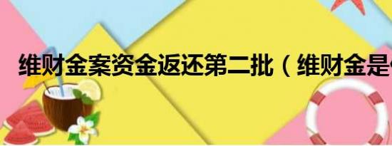 维财金案资金返还第二批（维财金是什么）