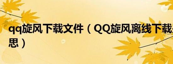 qq旋风下载文件（QQ旋风离线下载是什么意思）