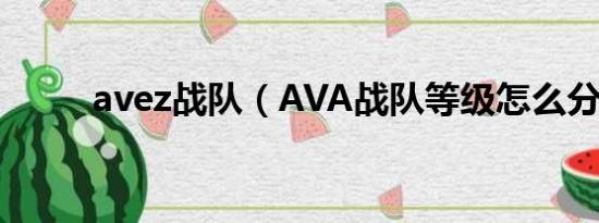 avez战队（AVA战队等级怎么分）