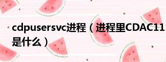 cdpusersvc进程（进程里CDAC11BA.EXE是什么）