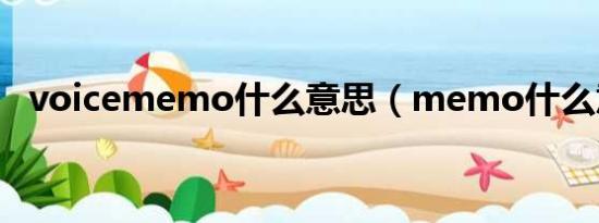 voicememo什么意思（memo什么意思）