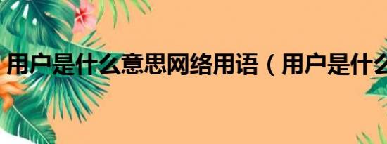 用户是什么意思网络用语（用户是什么意思）