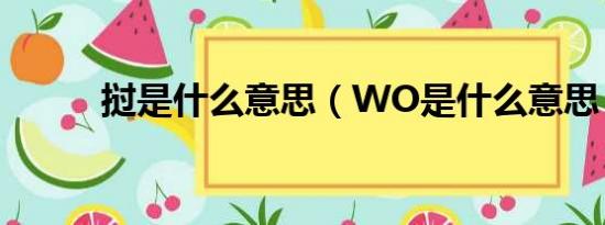 挝是什么意思（WO是什么意思）