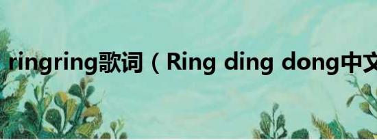 ringring歌词（Ring ding dong中文歌词）