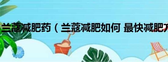 兰蔻减肥药（兰蔻减肥如何 最快减肥方法是）