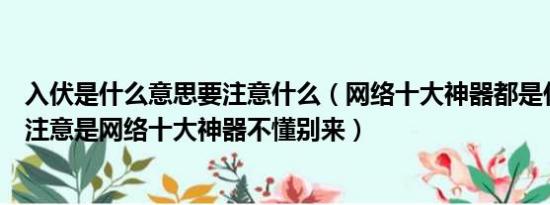 入伏是什么意思要注意什么（网络十大神器都是什么意思啊注意是网络十大神器不懂别来）