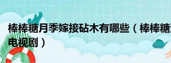 棒棒糖月季嫁接砧木有哪些（棒棒糖演过哪些电视剧）