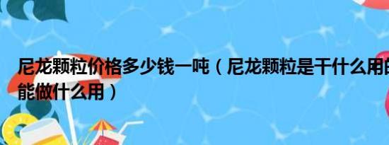 尼龙颗粒价格多少钱一吨（尼龙颗粒是干什么用的生产出来能做什么用）