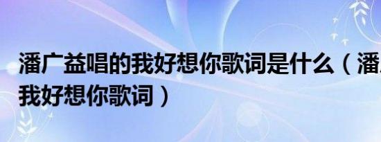 潘广益唱的我好想你歌词是什么（潘广益唱的我好想你歌词）