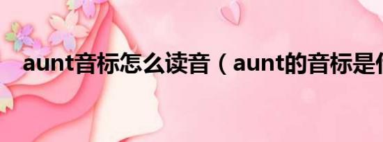 aunt音标怎么读音（aunt的音标是什么）