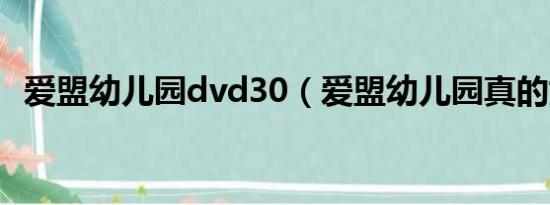 爱盟幼儿园dvd30（爱盟幼儿园真的好吗）