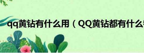 qq黄钻有什么用（QQ黄钻都有什么特权）