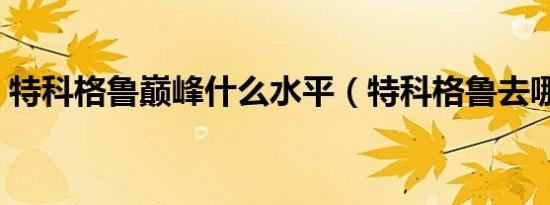 特科格鲁巅峰什么水平（特科格鲁去哪里了）