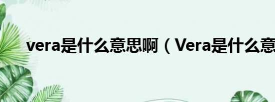 vera是什么意思啊（Vera是什么意思）