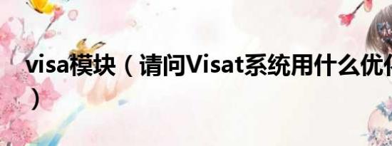 visa模块（请问Visat系统用什么优化比较好）