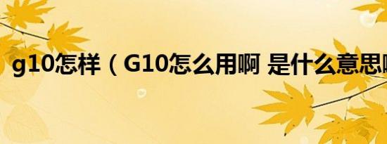 g10怎样（G10怎么用啊 是什么意思啊!!!!）