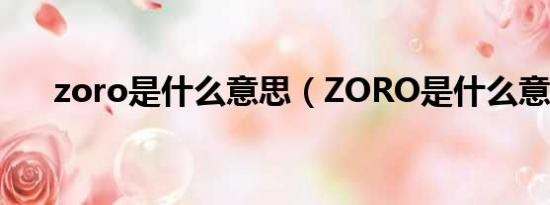 zoro是什么意思（ZORO是什么意思）