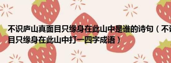 不识庐山真面目只缘身在此山中是谁的诗句（不识庐山真面目只缘身在此山中打一四字成语）