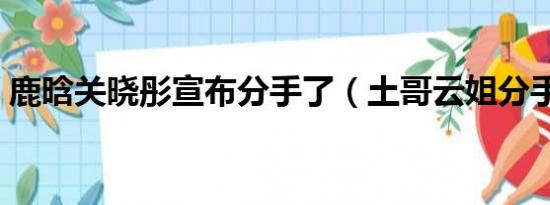 鹿晗关晓彤宣布分手了（土哥云姐分手了吗）