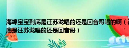 海绵宝宝到底是汪苏泷唱的还是回音哥唱的啊（海绵宝宝到底是汪苏泷唱的还是回音哥）