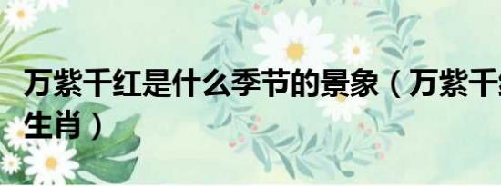 万紫千红是什么季节的景象（万紫千红是什么生肖）