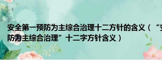 安全第一预防为主综合治理十二方针的含义（“安全第一预防为主综合治理”十二字方针含义）