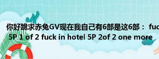 你好跪求赤兔GV现在我自己有6部是这6部： fuck in hotel 5P 1 of 2 fuck in hotel 5P 2of 2 one more