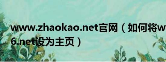 www.zhaokao.net官网（如何将www.1616.net设为主页）