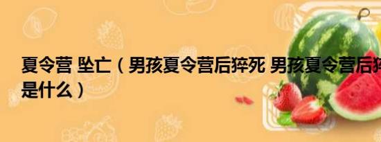 夏令营 坠亡（男孩夏令营后猝死 男孩夏令营后猝死的原因是什么）