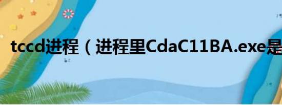 tccd进程（进程里CdaC11BA.exe是什么）