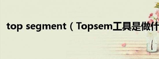 top segment（Topsem工具是做什么的）