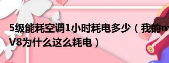 5级能耗空调1小时耗电多少（我的motorolaV8为什么这么耗电）