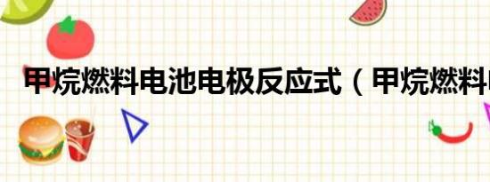 甲烷燃料电池电极反应式（甲烷燃料电池）