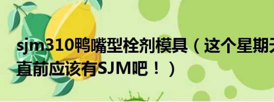 sjm310鸭嘴型栓剂模具（这个星期天的永往直前应该有SJM吧！）