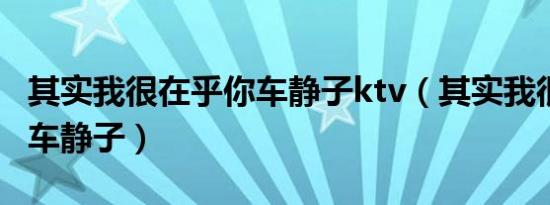 其实我很在乎你车静子ktv（其实我很在乎你 车静子）