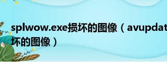 splwow.exe损坏的图像（avupdate.exe损坏的图像）