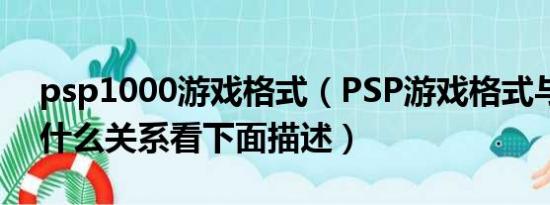 psp1000游戏格式（PSP游戏格式与容量有什么关系看下面描述）