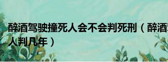 醉酒驾驶撞死人会不会判死刑（醉酒驾驶撞死人判几年）