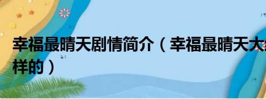 幸福最晴天剧情简介（幸福最晴天大结局是怎样的）