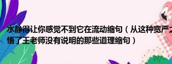 水静得让你感觉不到它在流动缩句（从这种宽严之间 我们领悟了王老师没有说明的那些道理缩句）