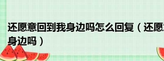 还愿意回到我身边吗怎么回复（还愿意回到我身边吗）