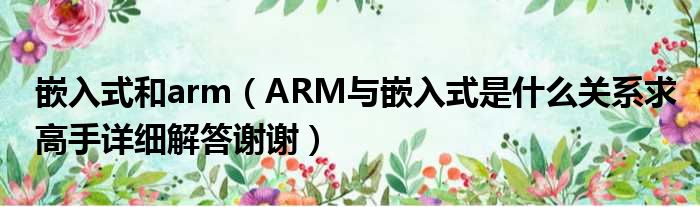 Ƕʽarm;ARMǶʽʲôϵϸлл