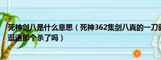 死神剑八是什么意思（死神362集剑八真的一刀就把用时无逛语那个杀了吗）