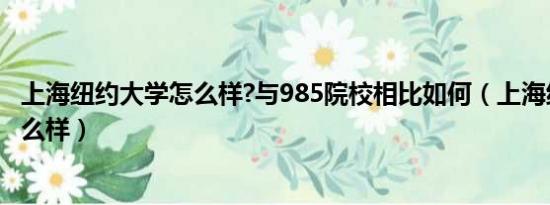 上海纽约大学怎么样?与985院校相比如何（上海纽约大学怎么样）