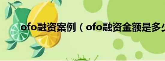 ofo融资案例（ofo融资金额是多少）