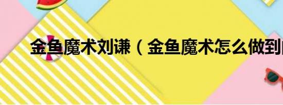 金鱼魔术刘谦（金鱼魔术怎么做到的）