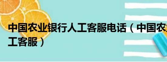 中国农业银行人工客服电话（中国农业银行人工客服）